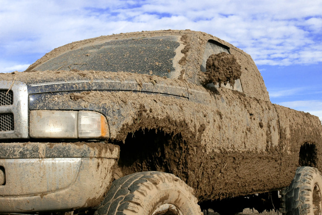 Discover Homer Auto Spa’s Clay Bar Service